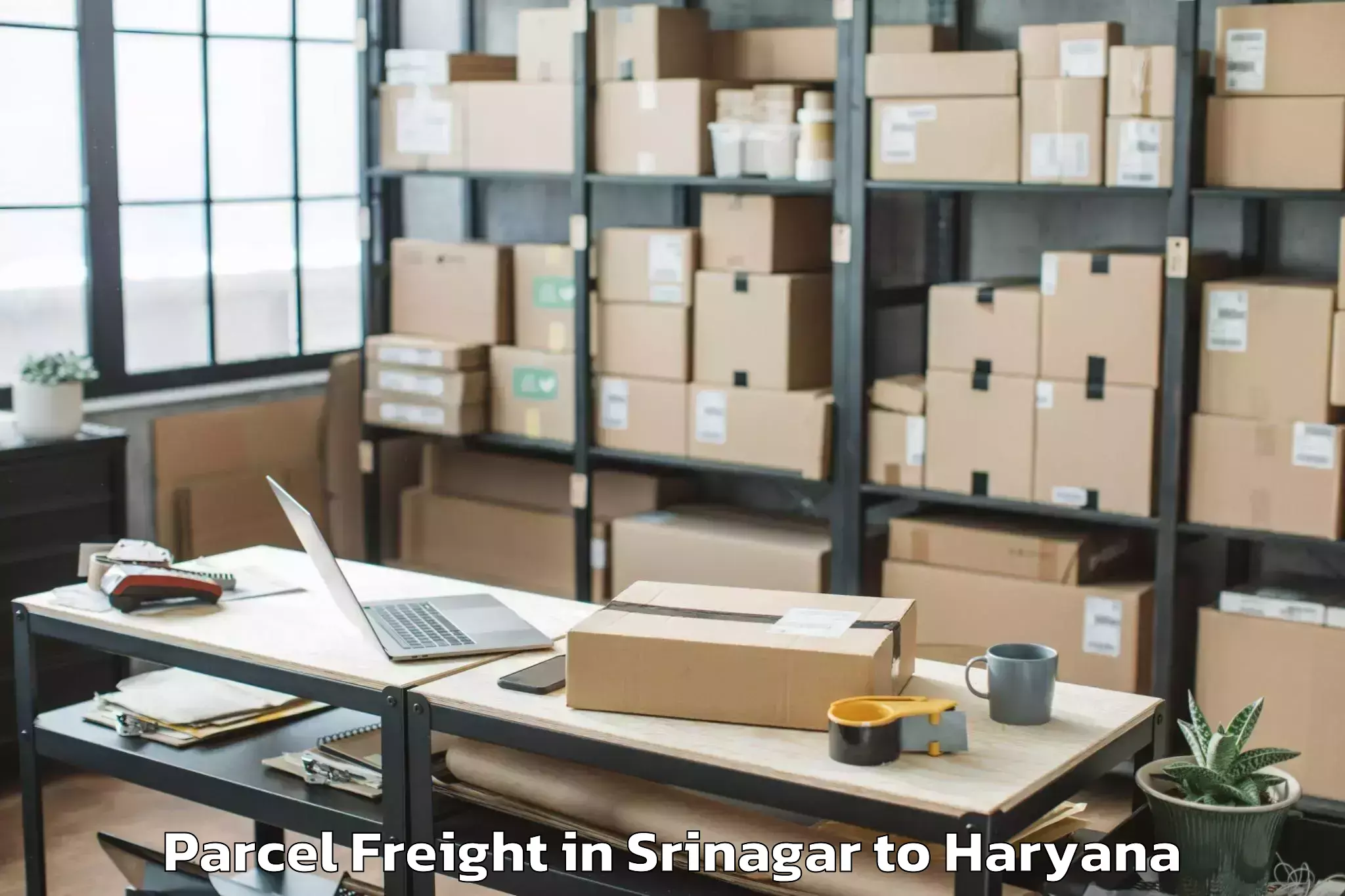 Srinagar to Yamunanagar Parcel Freight Booking